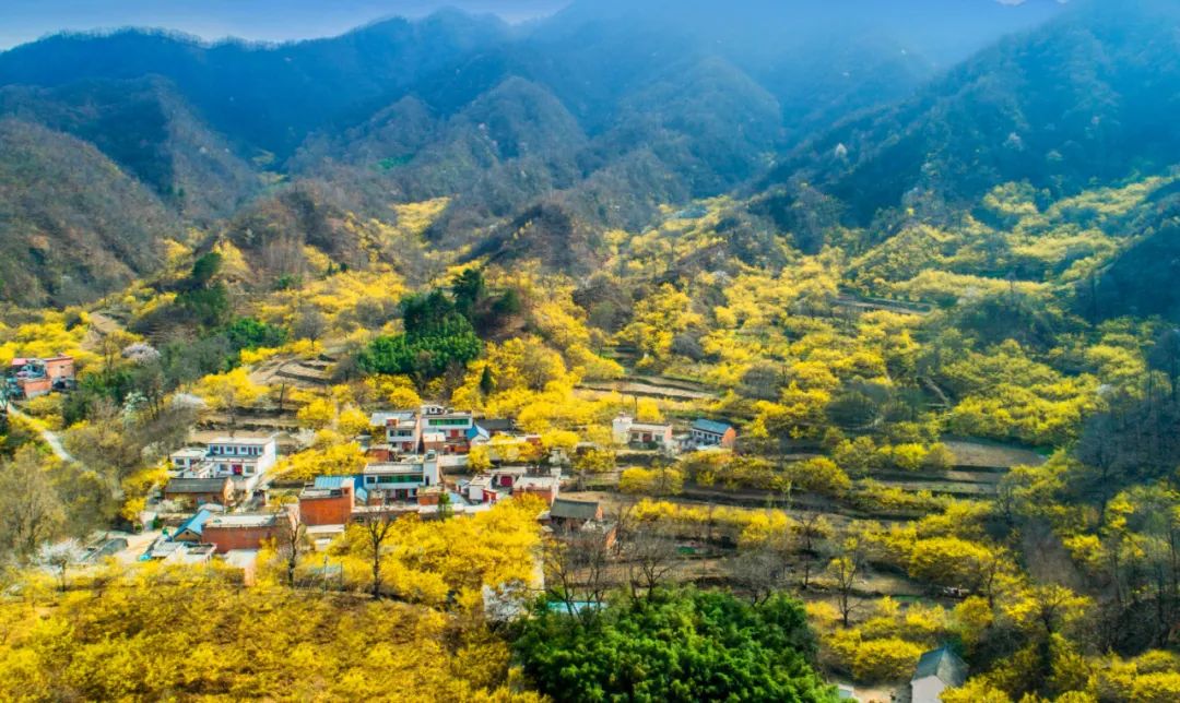 西峽縣被授予第四批“國家生態(tài)文明建設(shè)示范市縣”榮譽稱號